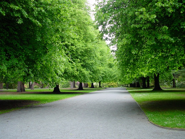 Hagley Park